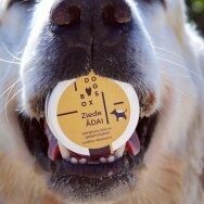 Ziede ādai DOGSBOX 50 ml